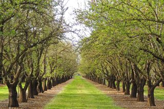 Le printemps, ce n’est pas pour tout de suite !