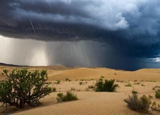 Le Sahara va-t-il subir des pluies historiques dans les prochaines semaines ? 