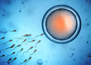 Le saviez-vous ? L'ovule choisit le spermatozoïde qui le fécondera !