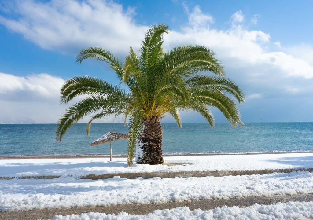 Neve sulle coste del Medio Oriente