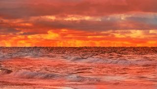 Le temperature degli oceani sono in aumento: il rischio di un circolo vizioso letale per il pianeta
