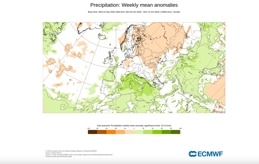 Mappa delle anomalie di precipitazioni del modello ECMWF substagionale.