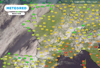Le visualiseur de cartes de Meteored affiche désormais des données d'observation de l'OMM et des stations METAR