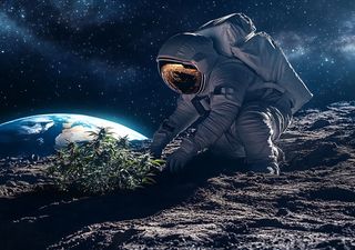 Leben auf dem Mond: Dieses Jahr könnte alles verändern – Experten warnen vor einem Irrtum