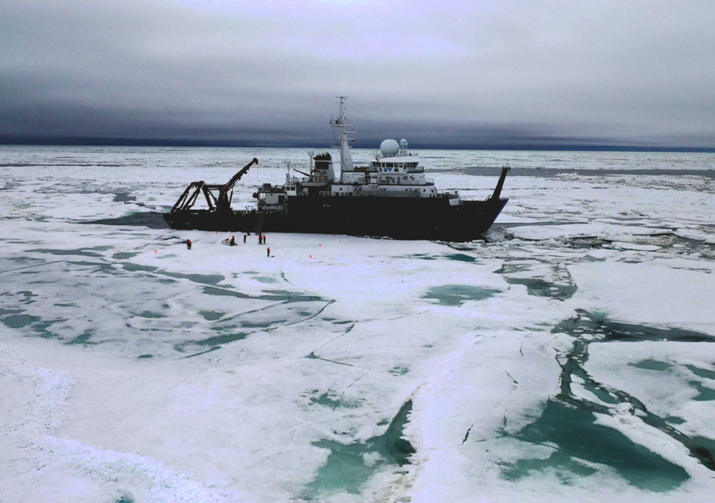 Die Kieselalgen wurden während einer Expedition an Bord des Forschungsschiffs Sikuliaq gesammelt. Während der Reise besuchten die Forscher ein Dutzend Forschungsstationen und sahen mehrere Eisbären. Bild: Lexi Arlen/Stanford University
