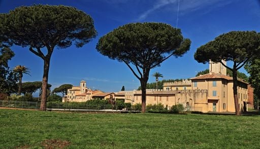 Lecci pi&ugrave; resilienti dei pini al cambiamento climatico, i risultati di uno studio vicino Roma