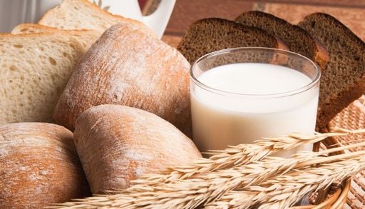 &iquest;C&oacute;mo puede faltar vitamina D en un pa&iacute;s con tanto sol? Chile ya la pone en la leche y el pan
