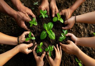 Lei do Restauro da Natureza aprovada: vitória histórica para a biodiversidade