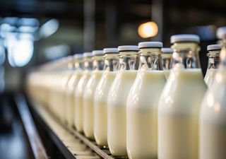 Leite e laticínios e indústria de carnes. Setor agroalimentar soma largos milhões de euros de prejuízos com o apagão