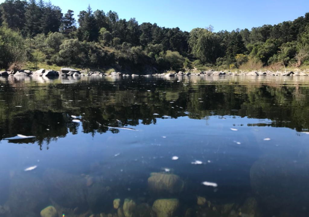 Sierras de Córdoba Punta Negra, una pequeña península en el lago Los Molinos, ofrece césped y algunos árboles para disfrutar del contacto directo con el lago. Foto: X @turismocba
