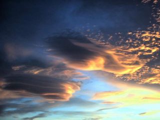 Lenticulares al óleo