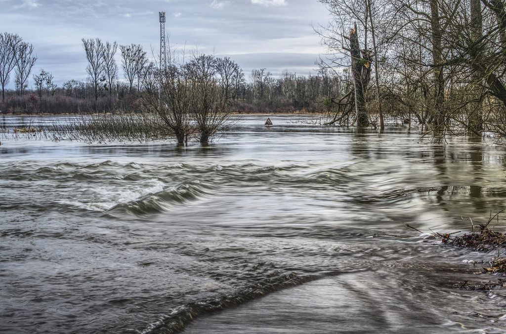 Fortes pluies dans le Sud-Est Fortes pluies dans le Sud-Est