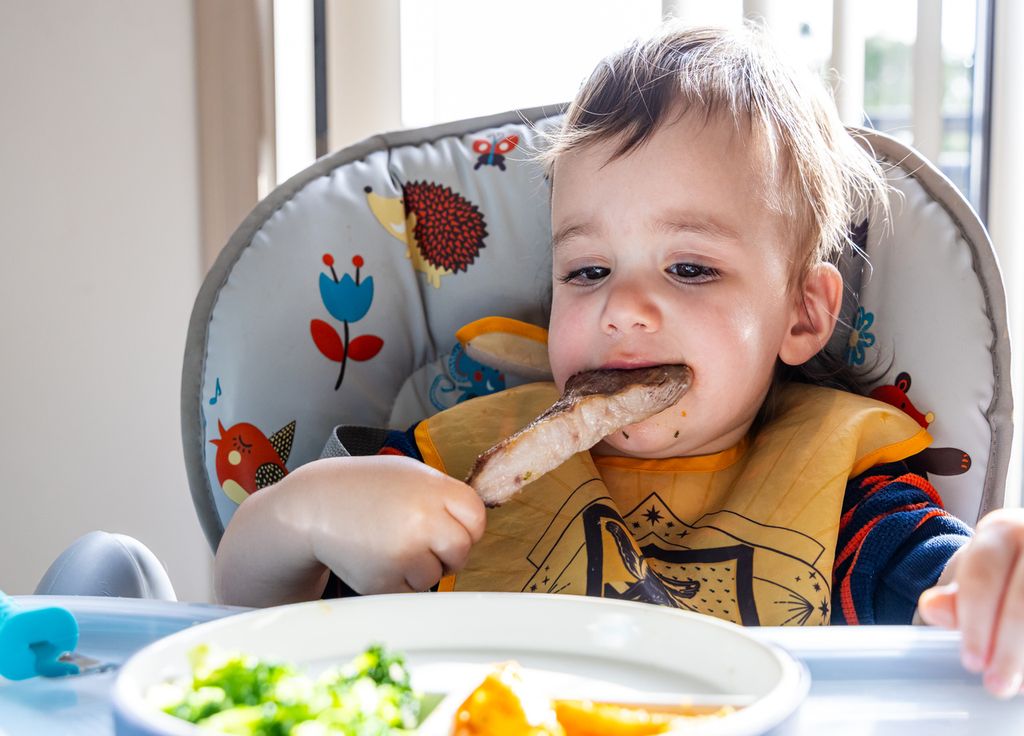 Les bébés carnivores, une nouvelle tendance Tiktok jugée alarmante par les pédiatres.