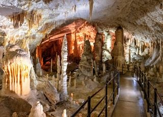 Les dragons existent ! Ils vivent même dans cette grotte en Slovénie !