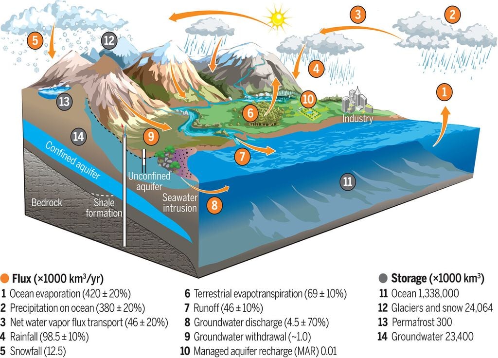 Les eaux souterraines deviennent de plus en plus dynamiques dans le cycle mondial de l'eau. ILLUSTRATION ADAPTÉE DE EREBORMOUNTAIN/SHUTTERSTOCK