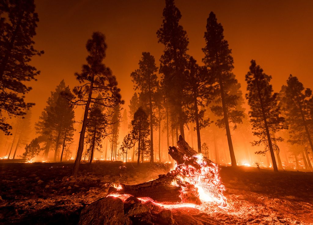 Incendie de forêt Californie