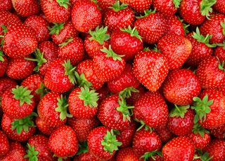 Les fraises au potager : comment faire pour avoir une belle récolte chaque année ? 