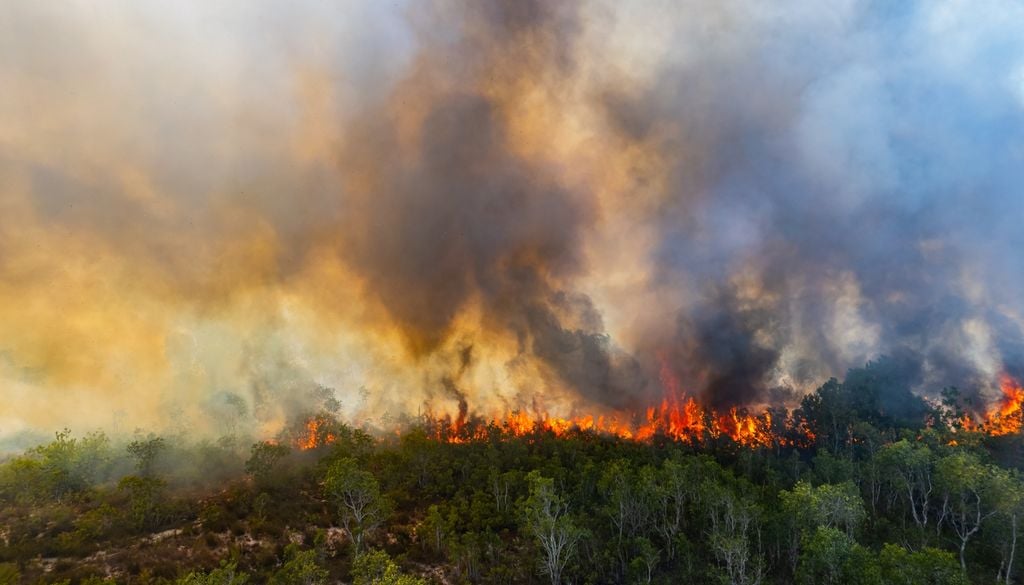 Puit de carbone La capacité d'absorption des puits de carbone terrestres peut-être grandement affectée par les conditions climatiques, notamment lors des sécheresses et fortes chaleurs qui favorisent le déclenchement et la propagation des incendies
