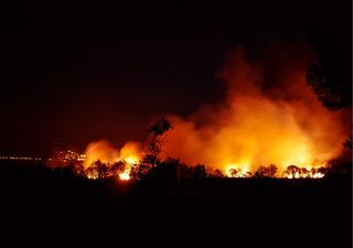 Les incendies de forêt risquent d’augmenter de 30 % d'ici 2050 !