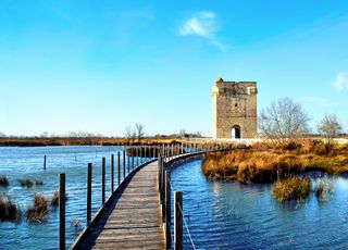 Les marais côtiers français sont-ils voués à disparaître près de la Méditerranée ?