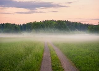 Les mod&egrave;les europ&eacute;en et am&eacute;ricain h&eacute;sitent : grande fra&icirc;cheur ou chaleur comme m&eacute;t&eacute;o en France ?