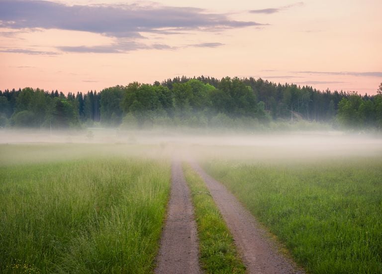 Les mod&egrave;les europ&eacute;en et am&eacute;ricain h&eacute;sitent : grande fra&icirc;cheur ou chaleur comme m&eacute;t&eacute;o en France ?
