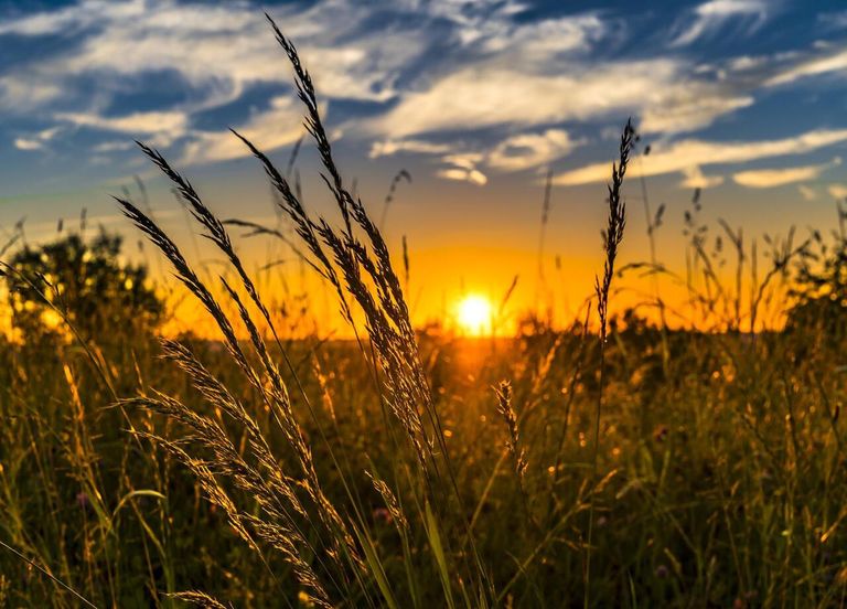 Normales de saison : la hausse des températures s'accélère en France ! Normales de saison : la hausse des températures s'accélère en France !
