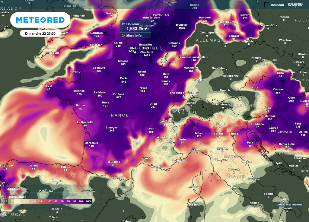Le pic pollinique sera certainement atteint dimanche soir, avec des concentrations en pollens de bouleau particulièrement élevées au Nord de la Seine, notamment vers la région lilloise.