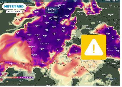 Les pollens de bouleau d&eacute;boulent en force en France ce week-end : quelles seront les 3 r&eacute;gions les plus &agrave; risque ?
