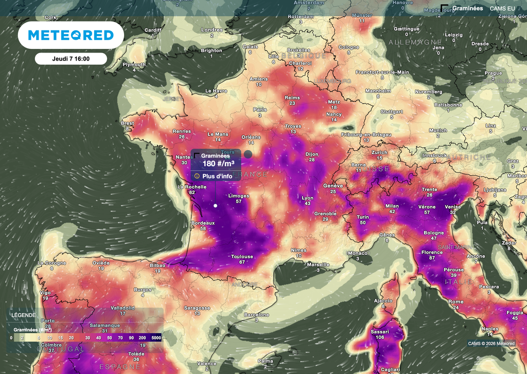 Des pollens parfois en nombre déjà ce jeudi sur la France.