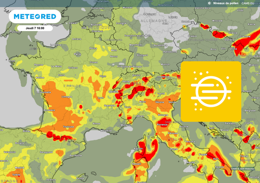 Les pollens de gramin&eacute;es vont-ils exploser ? Voici les pr&eacute;visions m&eacute;t&eacute;o sur la France