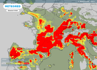 Les pollens sont déjà au rendez-vous avec parfois une vigilance rouge en France ! 