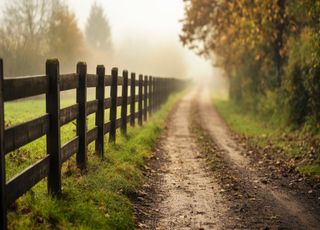 Les tâches au potager sont encore nombreuses ! Voici quelques conseils