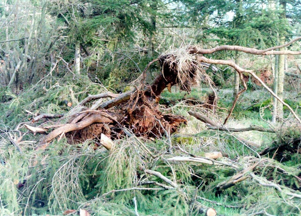 Dégâts tempête Martin 27 décembre 1999