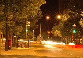 Lichtverschmutzung in deutschen Städten: Diese Lichtquellen verursachen sie – und darum leiden Stadtbäume darunter