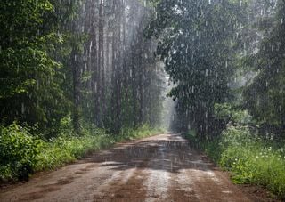 Ligero aumento de la Sequ&iacute;a en M&eacute;xico durante julio por efecto de la Can&iacute;cula, pero lluvias torrenciales llegar&aacute;n pronto