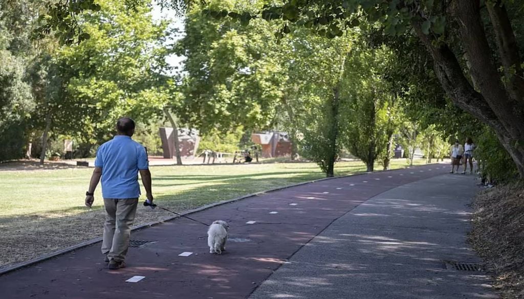 Espaços florestais Lisboa Vários espaços florestais já podem ser visitados. Foto: Câmara de Lisboa
