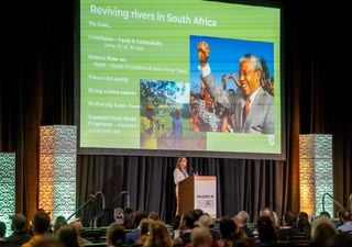 Lisboa recebe em 2027 a Conferência Mundial de Restauro Ecológico