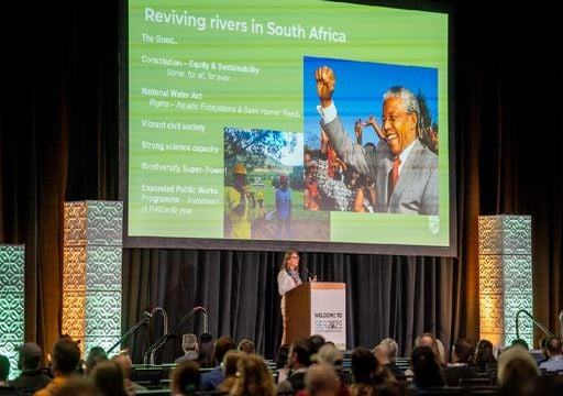 Lisboa recebe em 2027 a Conferência Mundial de Restauro Ecológico