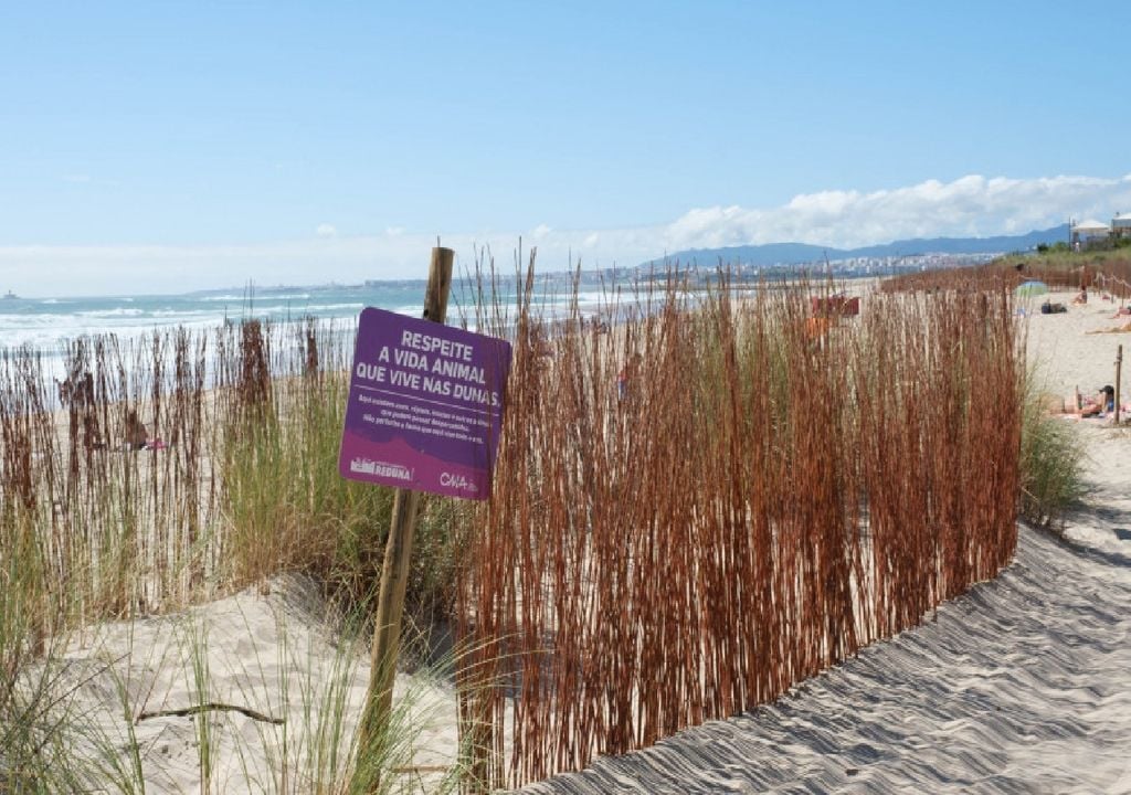 Porojeto ReDuna, Costa da Caparica, Almada