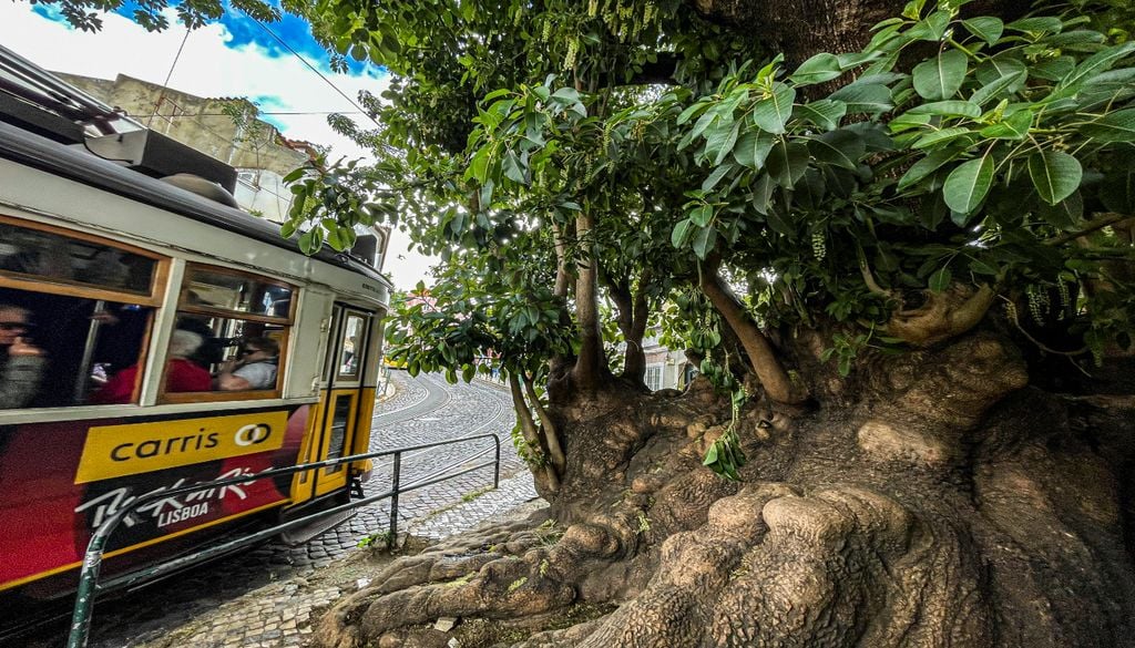 Lisboa Uma discussão que não é de agora. Foto: Unsplash