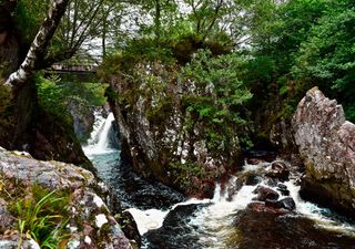 Livestock’s effect on UK water quality under the spotlight