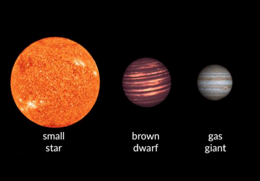 Nane brune Nane brune