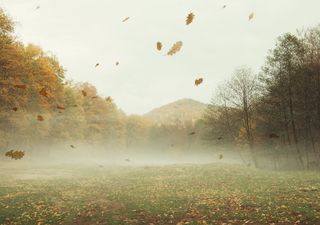 Llega el frente frío 7 y aire polar a México hasta con -10 °C, viento severo y lluvia. ¿Qué estados tendrán sus efectos?