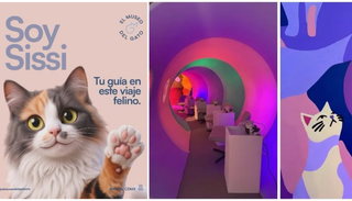 Llega el Museo del Gato a la CDMX: descubre una experiencia inmersiva y llena de arte felino que debes visitar