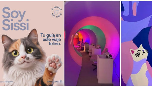 Llega el Museo del Gato a la CDMX: descubre una experiencia inmersiva y llena de arte felino que debes visitar