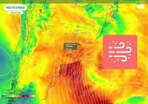 Llega un D&iacute;a de la Primavera muy ventoso con r&aacute;fagas de hasta 80 km/h en Buenos Aires y otras provincias de Argentina