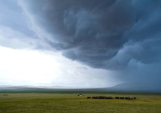 Llegan las lluvias tan esperadas