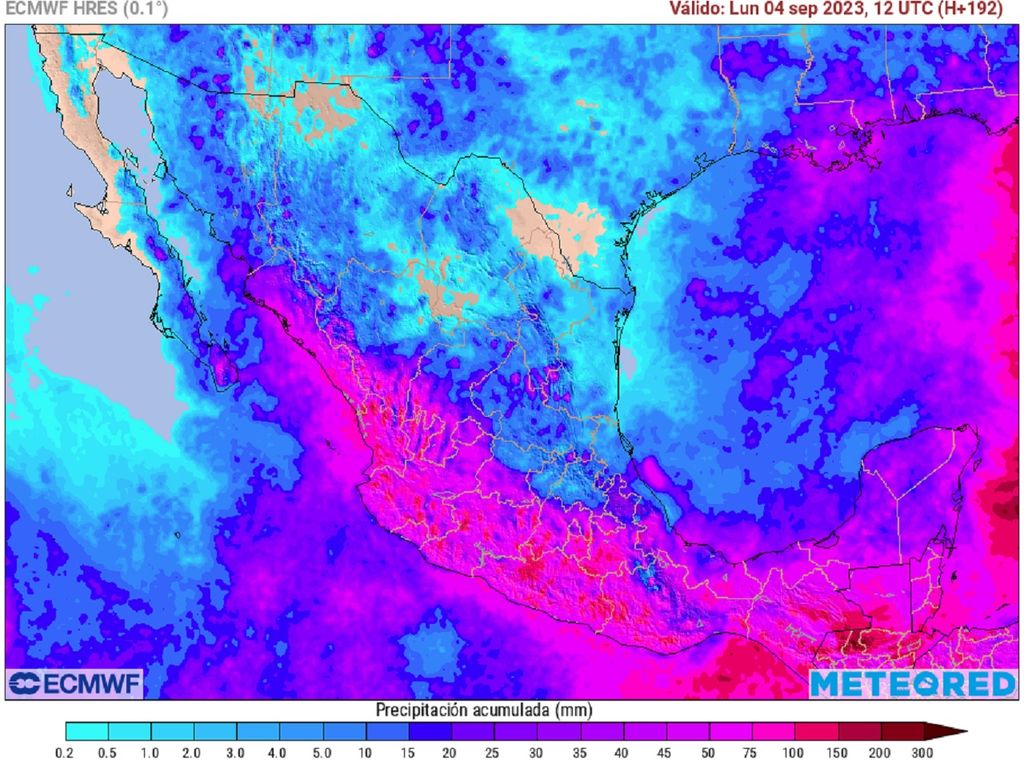 Modelo ECMWF - Acumulado de lluvias en milímetros