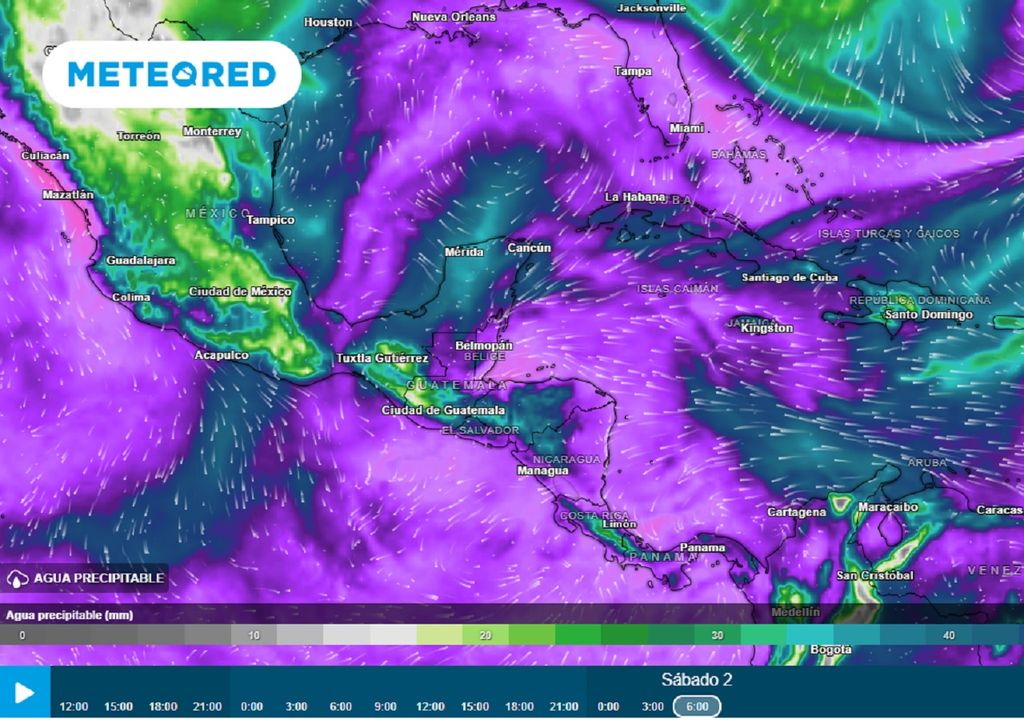 Modelo ECMWF - Agua precipitable en milímetros